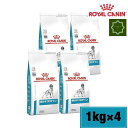 y4܃ZbgzCJi ᕪqveC hC p 1kg ROYAL CANIN xei[_CGbg ybgt[h h{oX HÖ@H hbOt[h