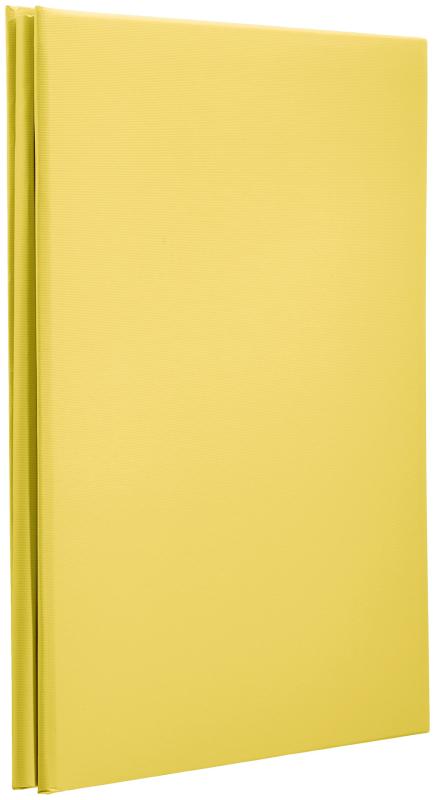 ナカバヤシ フエルアルバムDigio デジタルフリーアルバム