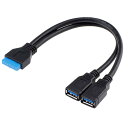 chenyang 2ポート USB 3.0メスからマザーボード 20ピンヘッダーケーブル フロントパネル用 20cm