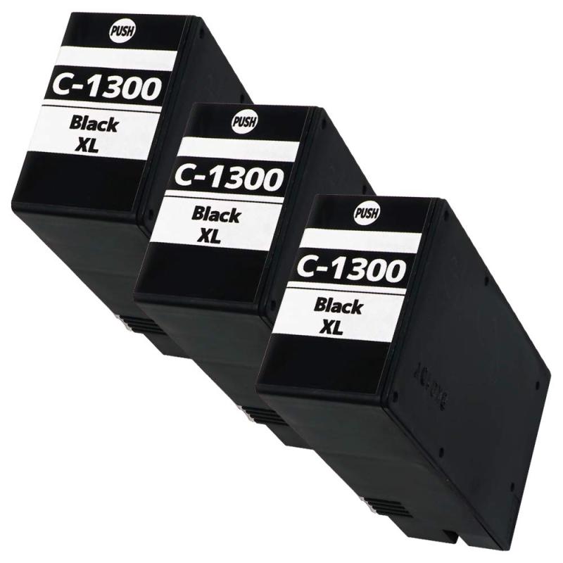 PGI1300