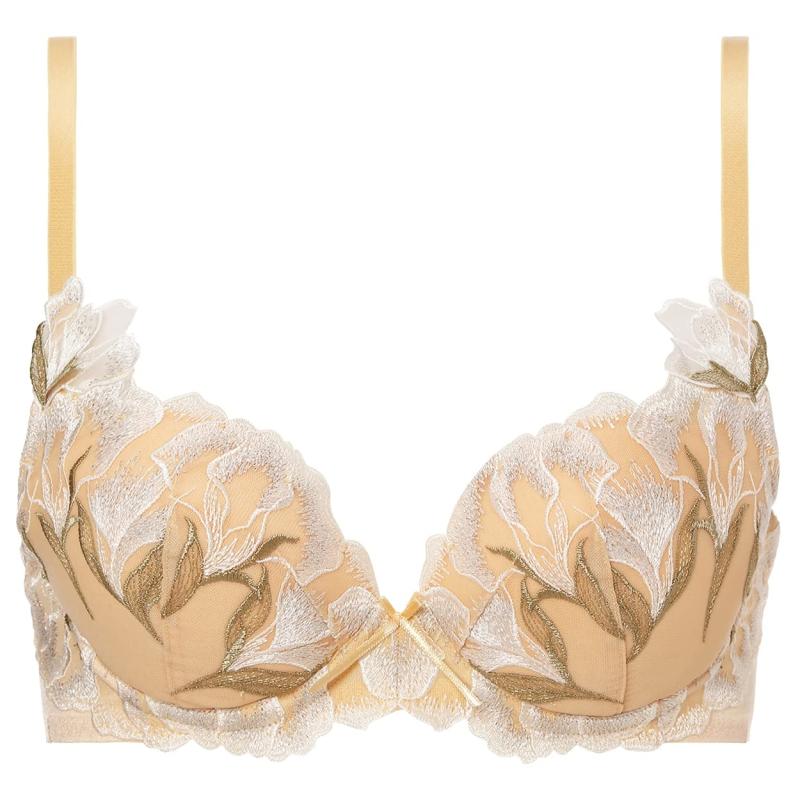 [トリンプ] プレミアム レッドレー