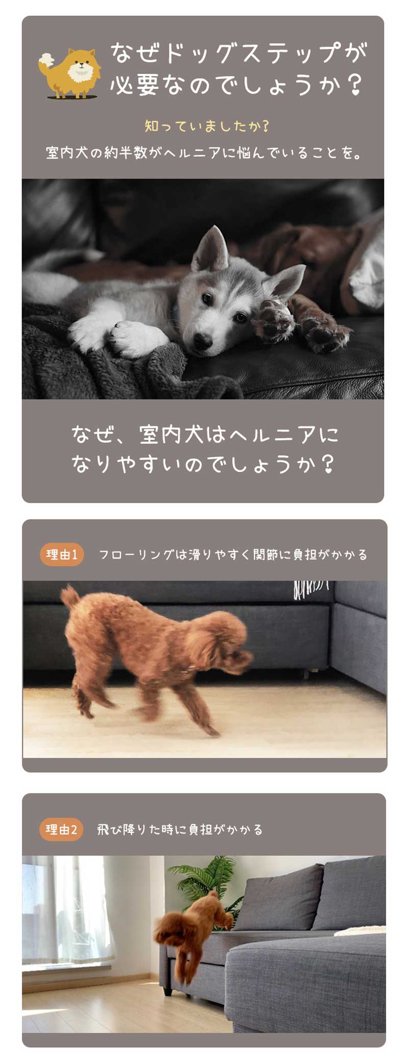 ドッグステップ 犬 猫 階段 4段 ペットステップ 犬用階段 折りたたみ 滑り止め ペ...