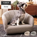 \ 10%OFFクーポンすぐ使える! / 座椅子 ペットソファ おしゃれ 座イス 座いす 北欧 フロアチェア ペット ソファ 犬 猫 シンプル うさぎ かわいい 背もたれ 幅55cm 座面高15.5cm 完成品 グレー アイボリー コンパクト 単品 脚付き いぬ ねこ 可愛い 敬老の日