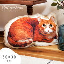 \ 10%OFFクーポンすぐ使える! / クッション 50×30cm 猫 ねこ 動物 アニマル おしゃれ 可愛い 形 リアル 写真 印刷 プリント インテリア ...