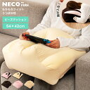 【10%OFFクーポン配布中!16日23:59迄】クッション ビーズ ビーズクッション 小さめ リラックス ゲーム 仮眠 お昼寝枕 うつぶせ寝 うつ伏せ うつぶ...