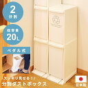\ 10%OFFクーポンすぐ使える! / ゴミ箱 2段 おしゃれ 20リットル 20L 分別 スリム ふた付き キッチン ダストボックス 10L シンプル かわいい 北欧 ペダル ペダル式 ホワイト 白 リビング 寝室 洗面所 台所 一人暮らし ごみばこ ごみ箱 フラップ式 ポリプロピ 敬老の日
