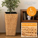 【10%OFFクーポン配布中!16日23:59迄】【Lサイズ】 プランター 9号 9号用 植木鉢 グリーンポット 鉢植え ヒヤシンス ウォーターヒヤシンス 水草...