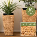 【10%OFFクーポン配布中!16日23:59迄】【Mサイズ】 プランター 7号 7号用 植木鉢 グリーンポット 鉢植え ヒヤシンス ウォーターヒヤシンス 水草...