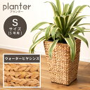 【10%OFFクーポン配布中!16日23:59迄】【Sサイズ】 プランター 5号 5号用 植木鉢 グリーンポット 鉢植え ヒヤシンス ウォーターヒヤシンス 水草...