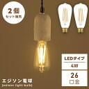 \ 10%OFFクーポンすぐ使える! / 【2個セット】 エジソン電球 エジソン球 電球 電球のみ LED led 電気 明かり 照明 照明器具 ライト 天井 セット販売 E26 26口径 4W Lサイズ レトロ アンティーク ヴィンテージ ビンテージ おしゃれ ギフト 敬老の日