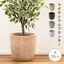 【10%OFFクーポン配布中!】 プランター マグネシウム 直径28cm 幅28cm 高さ27.5cm 酸化マグネシウム マグネシウムプランター シンプル 観葉植物 グリーン 植物 フェイクグリーン グリーンベース 傘立て ニュアンスカラー モノトーン ベージュ 白 黒 グレ 敬老の日