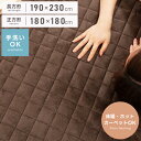 【10%OFFクーポン配布中!6日23:59迄】ラグ カーペット こたつ敷布団 こたつ 敷布団 長方形 230 180 正方形 180×180 洗える 手洗い可...