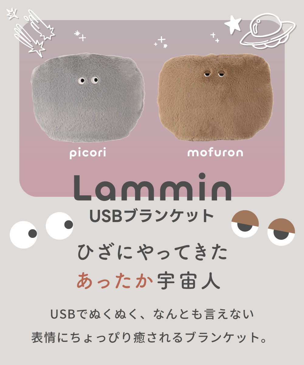 ブランケット ひざ掛け かわいい 100 70 USB 洗える 薄手 可愛い 子供 持ち運び ハーフ サイズ 収納 袋付き ソファ ソファー 小さめ 小さい ぬいぐるみ クッション ふわふわ 冬 冬用 暖かい モコモコ 機内 持ち込み グレー maisonplus-10002849 SLOKA by AZUMAYA サンプル画像3