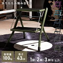 \ 10%OFFクーポンすぐ使える! / 脚立 踏み台 2段 1脚 2脚セット 3脚セット 折りたたみ 薄い 軽量 室内 足場台 階段 段差 折り畳み おしゃれ 小さい ステップ台 昇降 洗面所 スリム ブラック キッズ 手洗い 子供 キッチン トイレ スチール コンパクト グレー 敬老の日