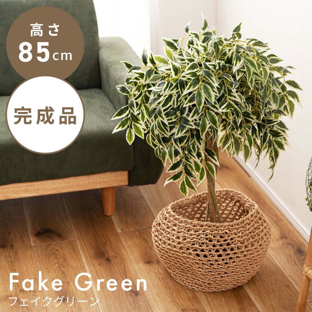 乐天商城 - フェイクグリーン ベンジャミン グリーン 人工観葉 観葉植物 インテリア リーフ 癒し 植物 お手入れ簡単 完成品 単品販売 カフェ おしゃれ シンプル 新生活