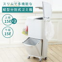 \ 10%OFFクーポンすぐ使える! / ゴミ箱 45リットル おしゃれ 45L ふた付き 分別 スリム キッチン ダストボックス 2段 15リットル 15L ...