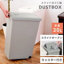 \ 10%OFFクーポンすぐ使える! / ゴミ箱 ごみ箱 ごみばこ おしゃれ 30リットル 30L 分別 スリム ふた付き キッチン ダストボックス シンプル ...