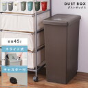 \ 10%OFFクーポンすぐ使える! / ゴミ箱 おしゃれ 45リットル 45L 分別 スリム ふた付き キッチン ダストボックス シンプル かわいい 縦型 臭わない スライドペール 北欧 リビング インテリア アースカラー 寝室 洗面所 台所 一人暮らし 中身 見えない 敬老の日