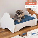【10%OFFクーポン配布中!6日23:59迄】ペット用ベッド ペットベッド ペット 犬 猫 イヌ ネコ 犬猫兼用 マットレス 天然木 かわいい おしゃれ クッ...