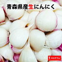 【数量限定!期間限定タイムセール】【超生にんにく】1kg【送料無料】大中小訳あり混合 青森 生にんにく バラ 1kg 福地ホワイト 国産 産地直送 農家直送