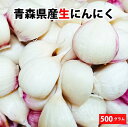 【数量限定!期間限定タイムセール】【超生にんにく】500g【送料無料】大中小訳あり混合 青森 生にんにく バラ 500g 福地ホワイト 国産 産地直送 農家直送