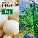 青森 にんにく バラ 1kg 皮剥けなし青森 にんにく バラ 1kg にんにく 国産 青森県産 ニンニク バラ 1キログラム 青森『特選』バラにんにく 1kg