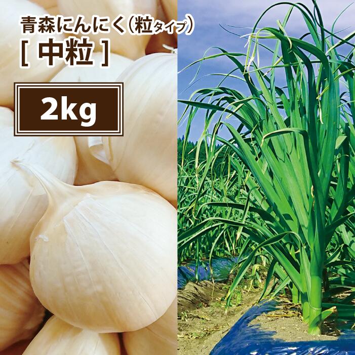 青森 にんにく バラ 2kg 皮剥けなし青森 にんにく バラ 2kg にんにく 国産 青森県産 ニンニク バラ 2キログラム 青森『特選』バラにんにく 2kg