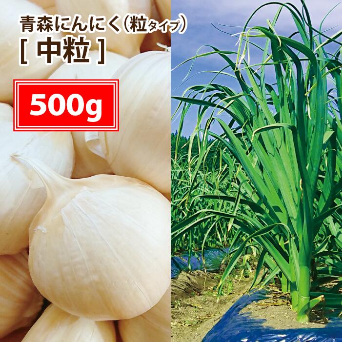 【送料無料】【2023年度産新物 中粒 500g】青森 にんにく バラ 500g 皮剥けなし【粒揃いで黒にんにく作りに大好評】青森 にんにく バラ 500g にんにく 国産 青森県産 ニンニク バラ 500グラム 青森『特選』バラにんにく 500g【税込1420円】 1