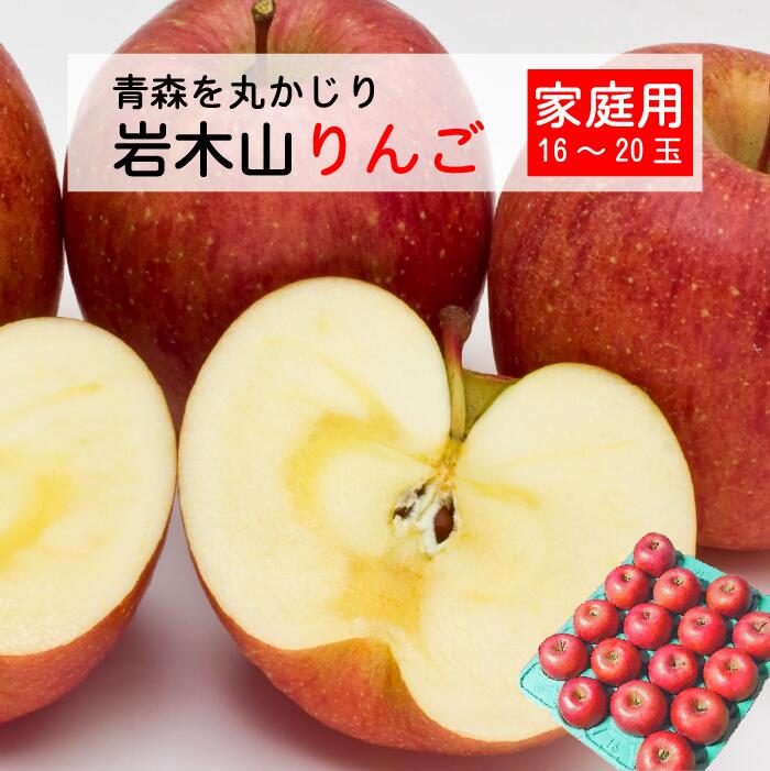 【家庭用】 サンふじ 約5kg 16玉〜20玉 青森県産 りんご 岩木山 お歳暮 お年賀 リンゴ 林檎 アップル 青森りんご 訳あり お徳用 青森丸かじり