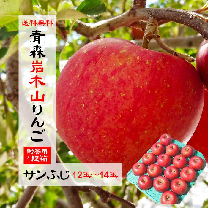 【送料無料】 2023年度産 岩木山りんご 見た目も味もこだわって栽培し...