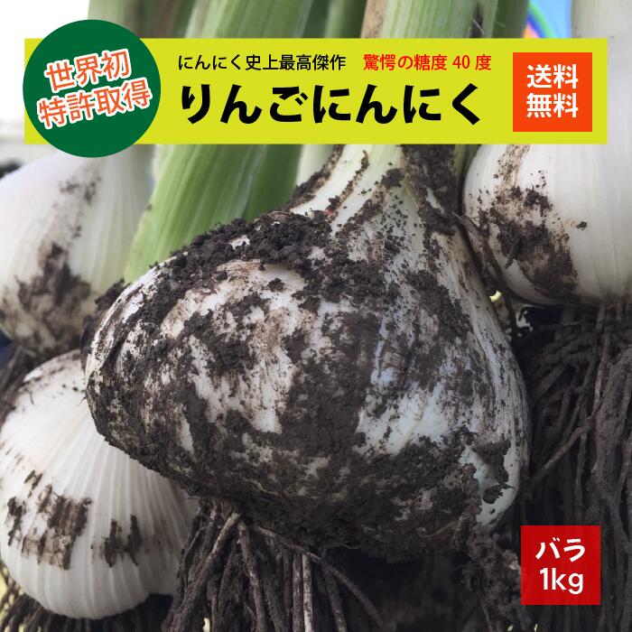 りんご にんにく 生にんにく 2023年ブランド 2023年度産 バラ 1kg サイズ大小混合 青森県産 福地ホワイト 青森期待の新ブランド 農家直送 年中生にんにく おいしさそのまま にんにく 国産 ニンニク 1kg 業界初の特許保存