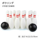 知育玩具 ボウリング 子供 キッズ スポーツ玩具 男の子 玩具 ボウリング ゲーム おもちゃ ゲーム玩具 減圧ゲーム スポーツゲーム 親子ゲーム 知育玩具 アウ...