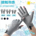 【6%ОFFクーポン】メンズグローブ 冷感手袋 バイクグローブ夏用 薄手【UVカット・ 接触冷感・スマホ対応】紫外線対策 サイクリンググローブ 2本指出し スマホ操作 滑り止め 吸汗 速乾性 通気性 日焼け止め手袋 釣り 登山 アウトドア 自転車 グローブ 男女兼用 3つのスタイル