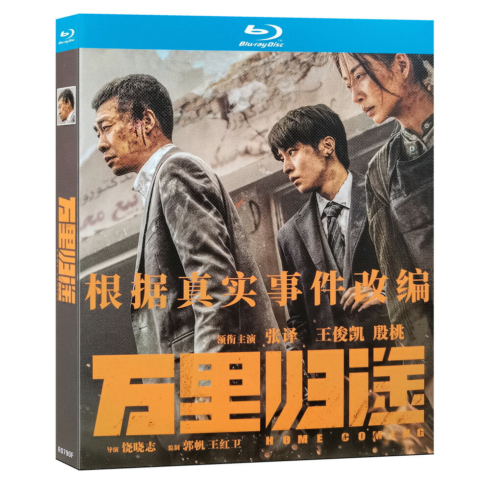 中国ドラマ 中国語 「萬里歸途～Home Coming～」 Blu-ray BOX チャン・イー/王俊凱(ワン・ジュンカイ)主演 中国語字幕