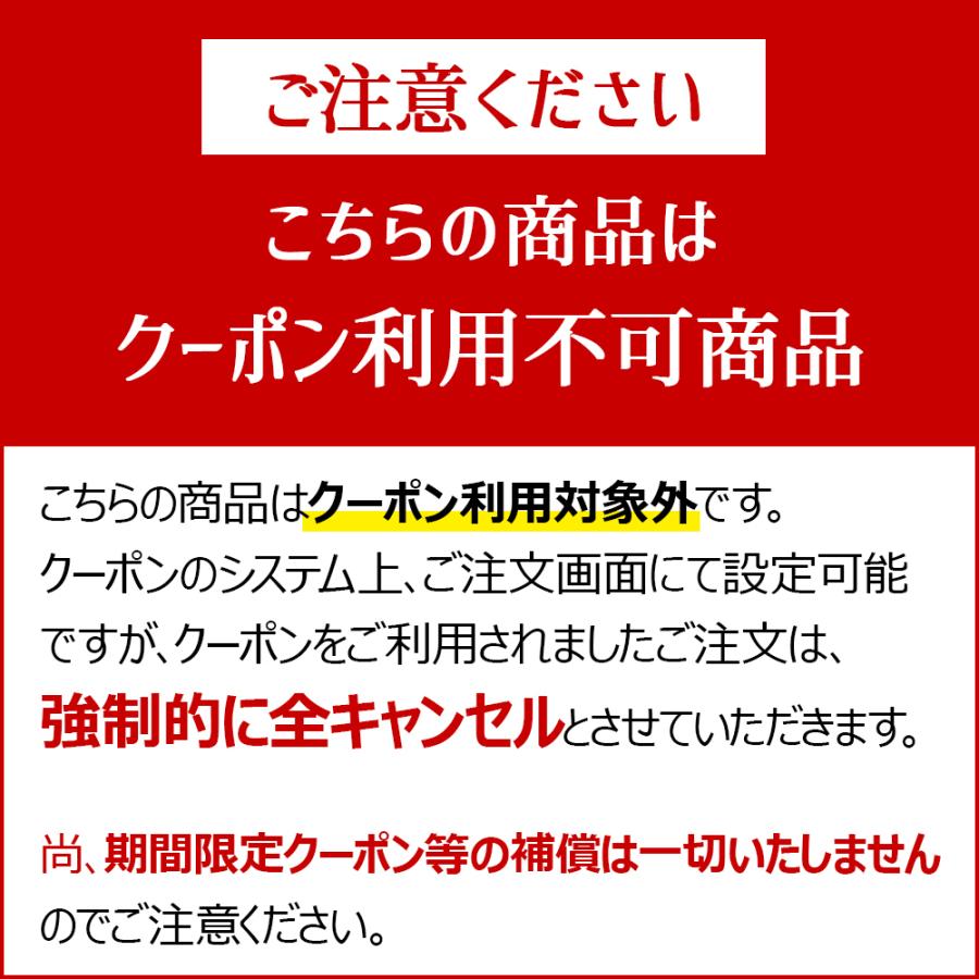 9/1〜10/31にご購入で全員プレゼント クーポン利用不可 お一人様1個限り 送料無料 パンニーダーPK1012plus 日本ニーダー※沖縄・離島は送料有料