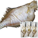 干魚 宗八カレイ 一夜干し 250g前後×3枚 大サイズ 北海道産 宗八かれい 上質 カレイ 塩干 エテカレイ