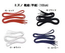 ミズノ mizuno 靴ひも 平紐 靴紐 100cm シューズパーツ シューレース 2ZK460