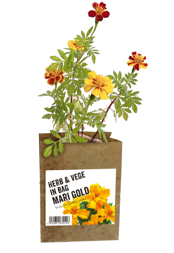 ハーブ＆ベジ インバッグ HERB＆VEGE IN BAG マリーゴールド ハーブ 野菜 花 栽培 ...