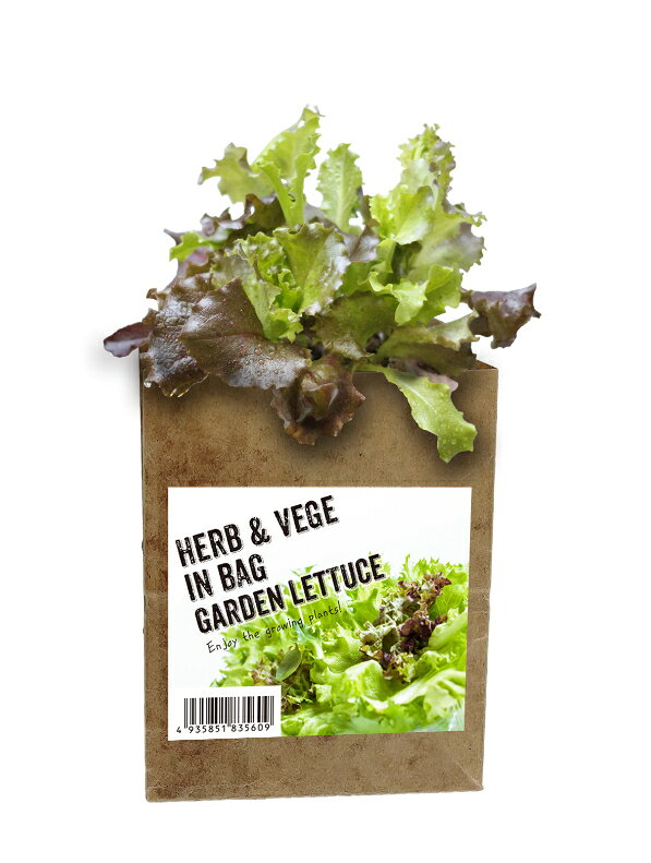 ハーブ＆ベジ インバッグ HERB＆VEGE IN BAG レタス ハーブ 野菜 花 栽培 栽培セッ...