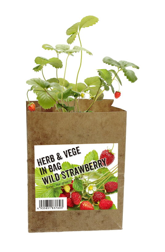 ハーブ＆ベジ インバッグ HERB＆VEGE IN BAG ワイルドストロベリー いちご 苺 ハー...