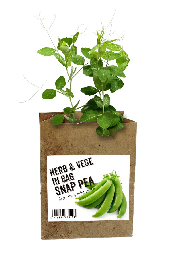 ハーブ＆ベジ インバッグ HERB＆VEGE IN BAG スナップエンドウ ハーブ 野菜 花 栽...