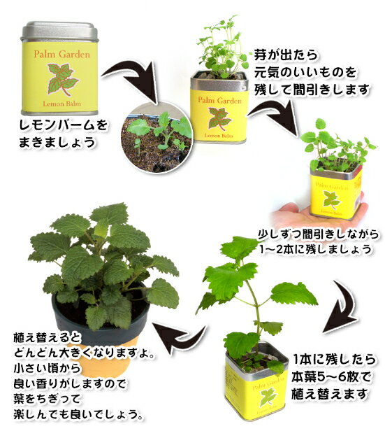 �ѡ��६���ǥ� ������ �ϡ��� ��� �� ���� ���ݥ��å� ���ݥ��å� �����ڱ� ���å��󥬡��ǥ˥� �����ǥ˥� ���� �ץ����ե�