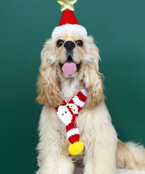 クリスマスマフラー 45cm レッド×ホワイト わんちゃん ネコちゃん 犬用 猫用 ペット 簡易仮装 お手軽 ..