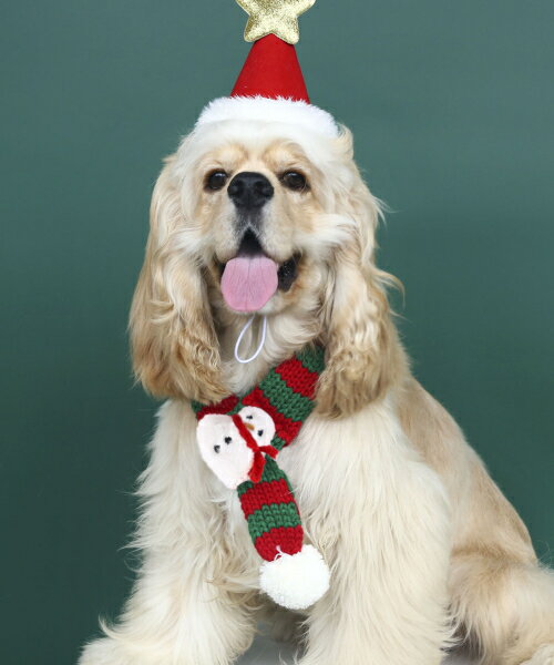 クリスマスマフラー 45cm レッド×グリーン わんちゃん ネコちゃん 犬用 猫用 ペット 簡易仮装 お手軽 ..