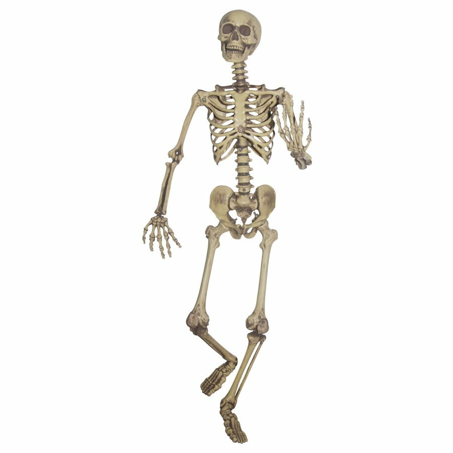 等身大スケルトン 骸骨 SUNSTAR Pose & Hold Skeleton ハロウィン 飾り デコレーション 店舗装飾 レプ..