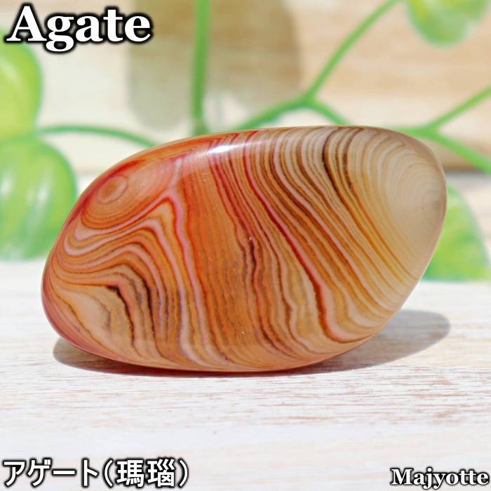 商品画像1