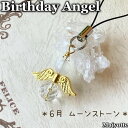 ★Birthday Angel★ 6月誕生石 ムーンストーン 女性のお守り ホルモンバランス 情緒安定 永遠の愛 ヒーリング ポーチ スマホ スマホケース 鞄 ペンケース ランドセル キーケース 水晶 スマートレター対応