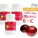 カムカム+ビタミンEサプリメント3個セット( 約90日分 ) 妊活 ビタミンE サプリメント 天然 ビタミンe ビタミンc 妊活サプリ 送料無料
