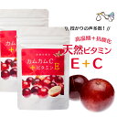 カムカム サプリメント(60カプセル)2袋セット ビタミンC+ビタミンE 妊活サプリ 無添加 カムカム粉末 天然 サプリ Vitamin 妊活 妊娠 美容 健康【メール便対応・クーポン配布】