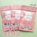 ラクトフェリン サプリ 300mg(お得な3袋セット)腸溶性 妊活 子宮 サプリメント 善玉菌 腸内フローラ 腸活 腸まで届く 2人目 特許製法 妊娠【クーポン...